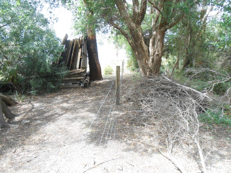 62 North Ansons Bay Road, Ansons Bay TAS 7216