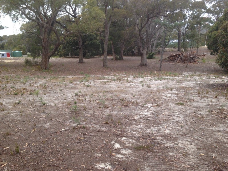 10A Lyall Road, Binalong Bay TAS 7216