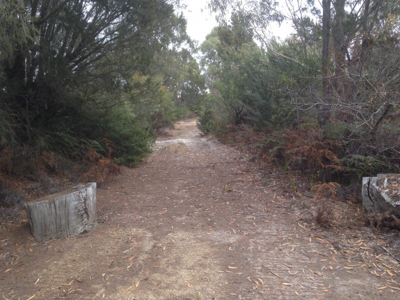 10A Lyall Road, Binalong Bay TAS 7216