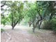 93 Cecilia Street, St Helens TAS 7216