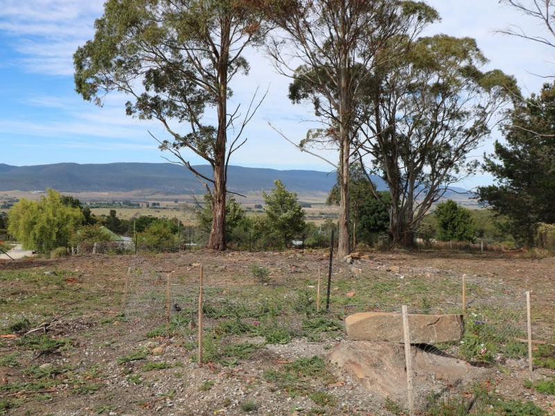 14 Crosby Street, Cornwall TAS 7215