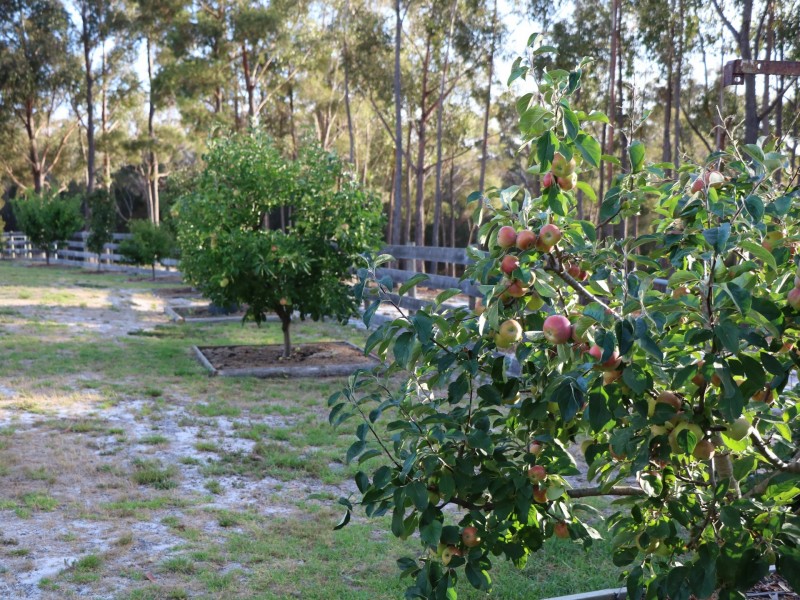 Lot 2 Tasman Highway, St Helens TAS 7216