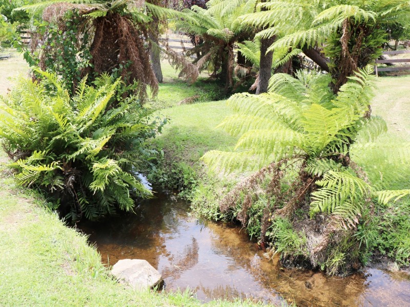 27883 Tasman Highway, Pyengana TAS 7216