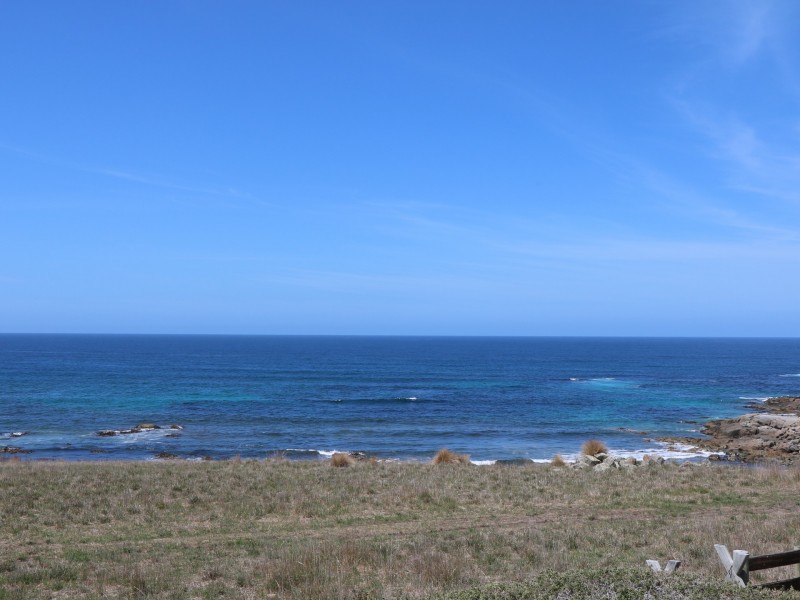 22354 Tasman Highway, Falmouth TAS 7215