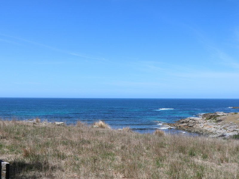 22354 Tasman Highway, Falmouth TAS 7215