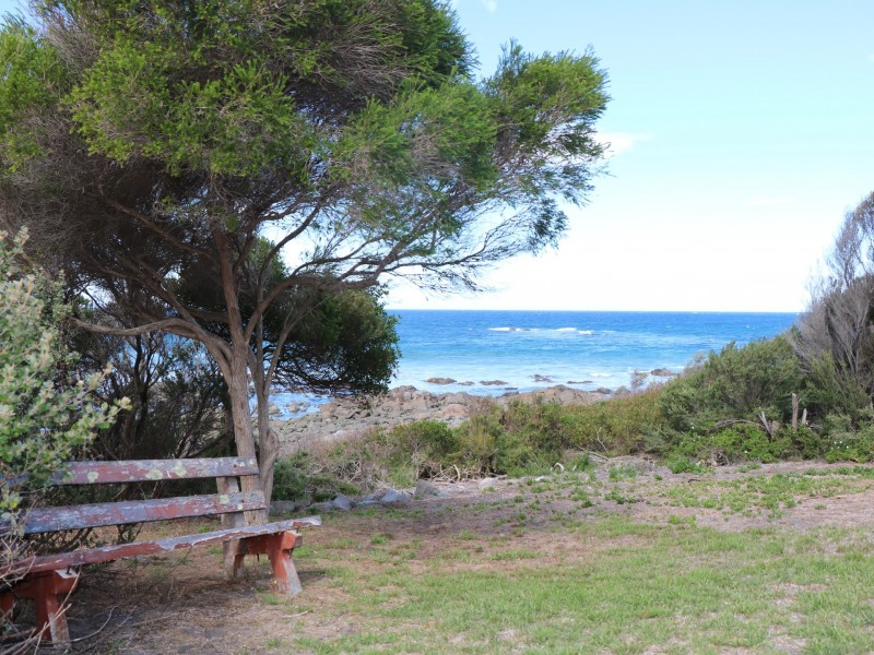 50 New Street, Falmouth TAS 7215