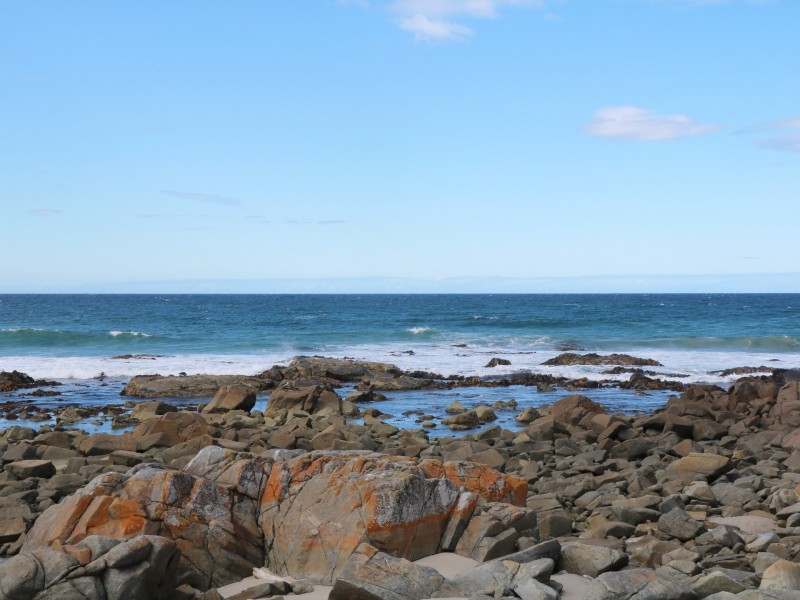 50 New Street, Falmouth TAS 7215