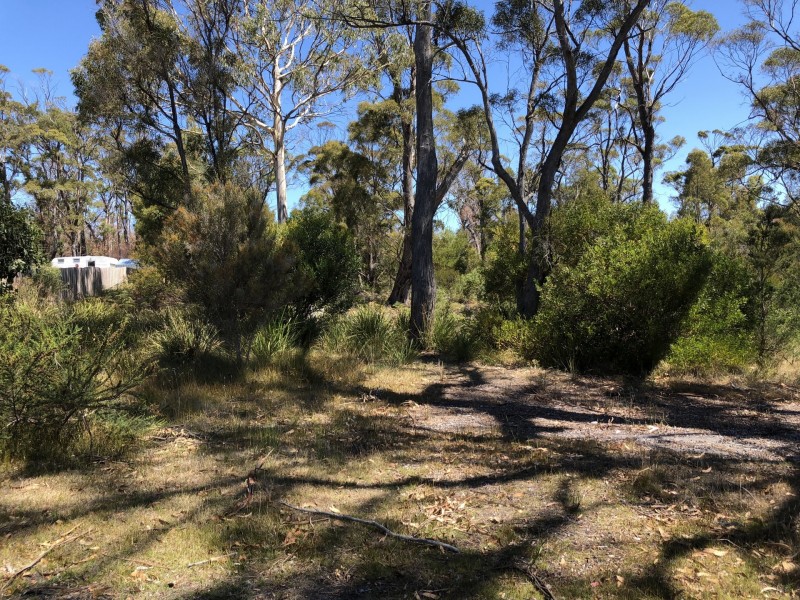 35A Coffey Drive, Binalong Bay TAS 7216