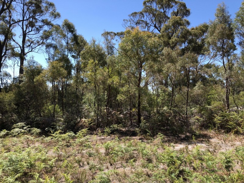 35A Coffey Drive, Binalong Bay TAS 7216