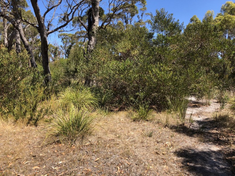 35A Coffey Drive, Binalong Bay TAS 7216
