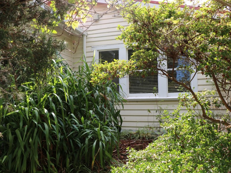 38 Medeas Cove Esplanade, St Helens TAS 7216