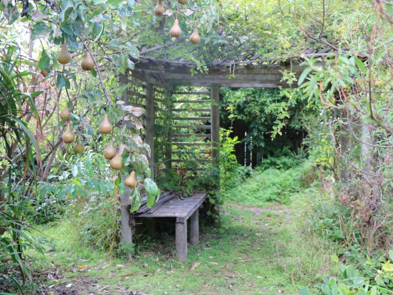 38 Medeas Cove Esplanade, St Helens TAS 7216