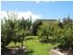 137 St Helens Point Road, Stieglitz TAS 7216