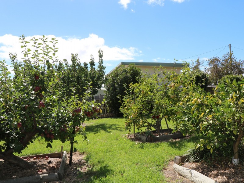 137 St Helens Point Road, Stieglitz TAS 7216