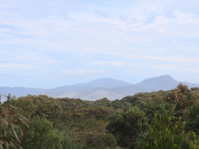 86 Tasman Highway, Beaumaris TAS 7215