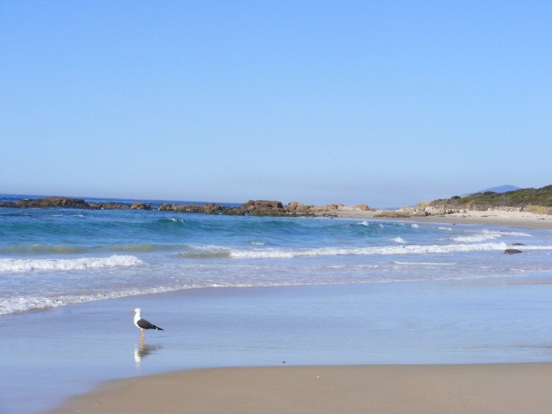 86 Tasman Highway, Beaumaris TAS 7215