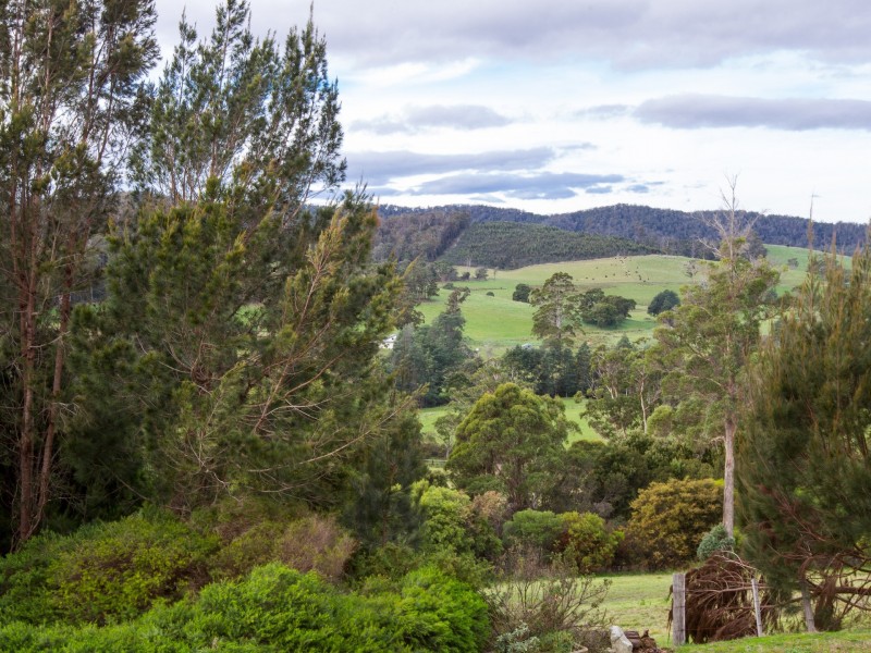 26933 Tasman Highway, Goshen TAS 7216