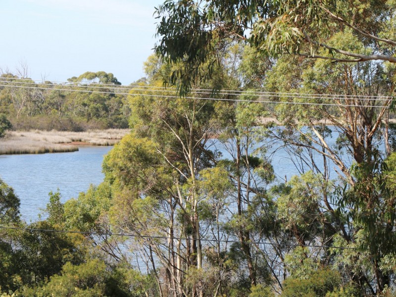 23239 Tasman Highway, Scamander TAS 7215