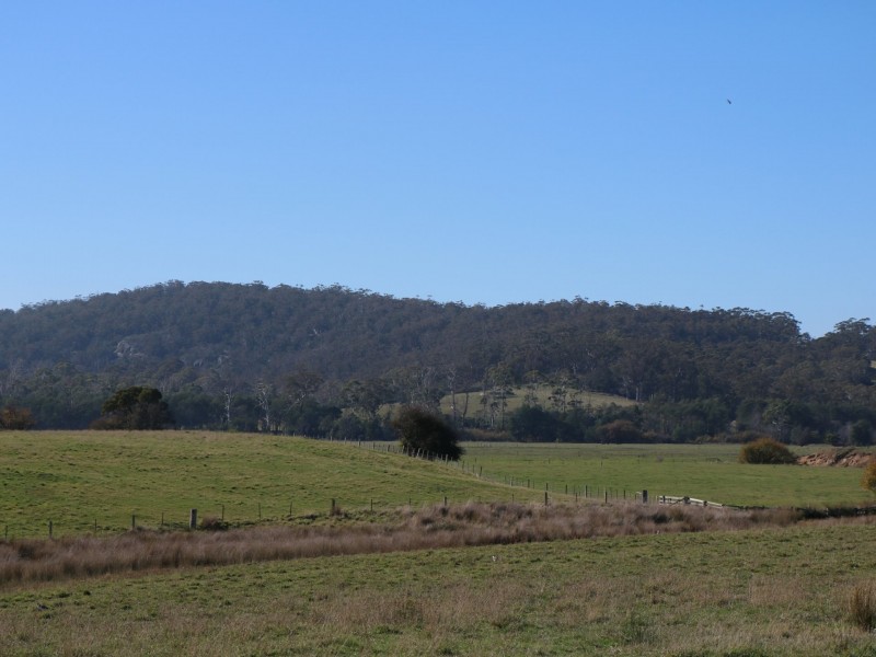 Lot 44/38 Annie Street, St Helens TAS 7216