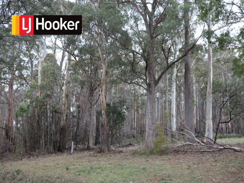 Lot 1 Gardiners Creek Road, St Marys TAS 7215