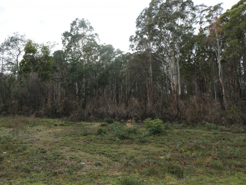 Lot 1 Gardiners Creek Road, St Marys TAS 7215