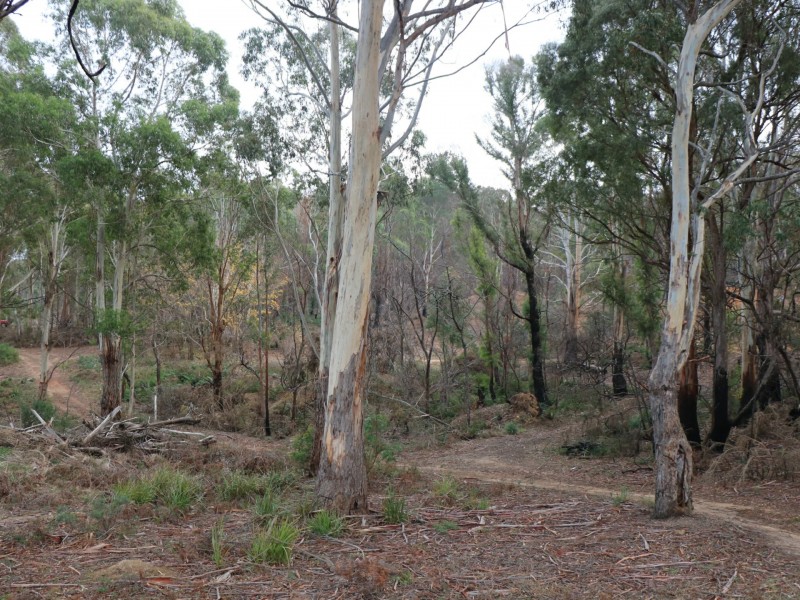 Lot 1 Gardiners Creek Road, St Marys TAS 7215