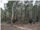 Lot 1 Gardiners Creek Road, St Marys TAS 7215