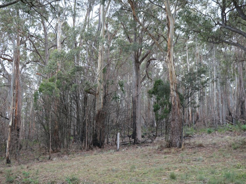 Lot 1 Gardiners Creek Road, St Marys TAS 7215