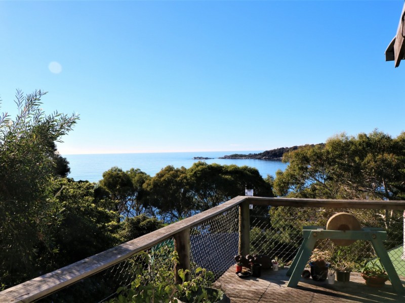 38 Treloggen Drive, Binalong Bay TAS 7216