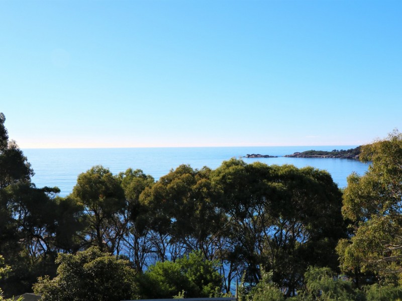 38 Treloggen Drive, Binalong Bay TAS 7216