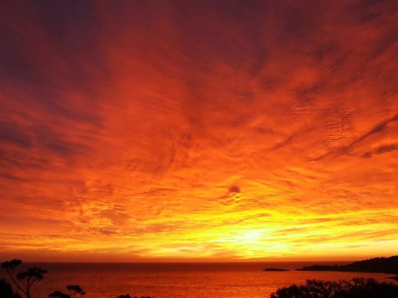 38 Treloggen Drive, Binalong Bay TAS 7216