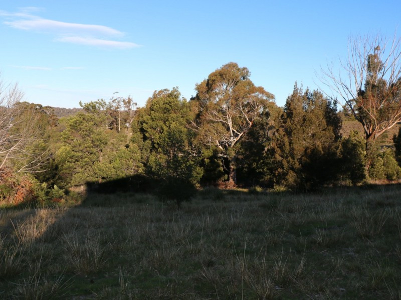 11 Bayvista Rise, St Helens TAS 7216