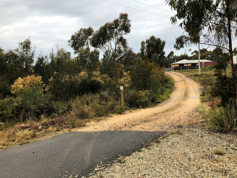 12 Oberon Place, Scamander TAS 7215