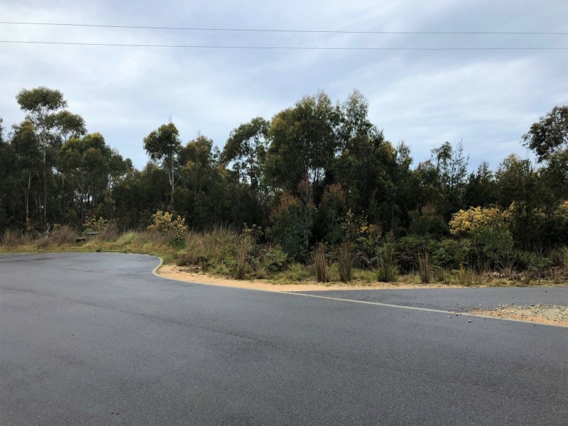 12 Oberon Place, Scamander TAS 7215