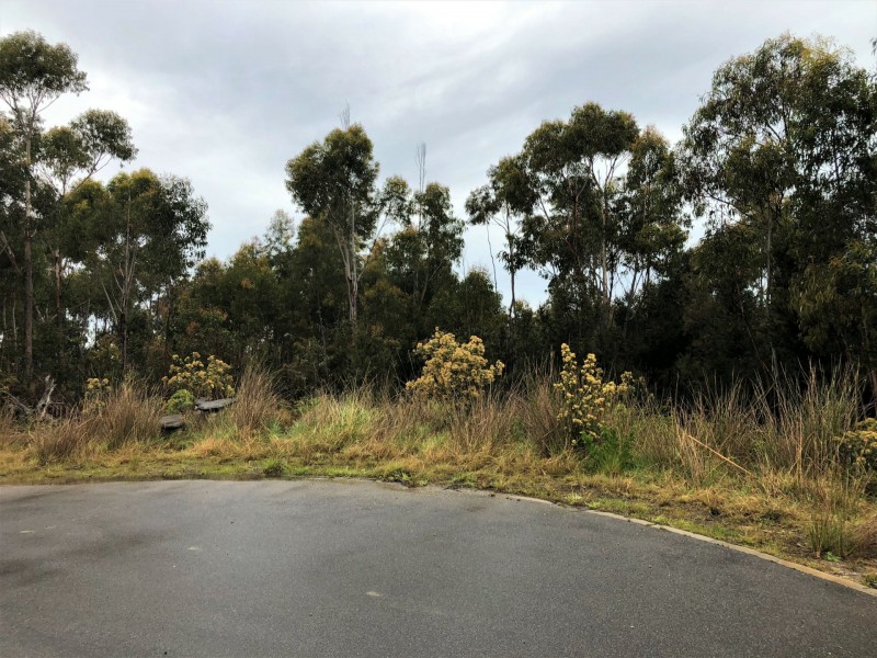 12 Oberon Place, Scamander TAS 7215