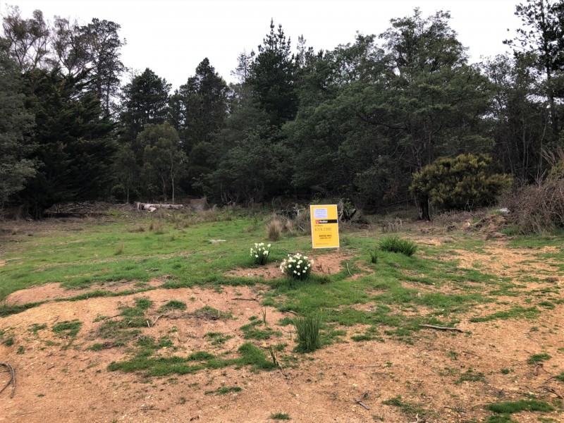 PID 641602 Mangana Street, Mathinna TAS 7214