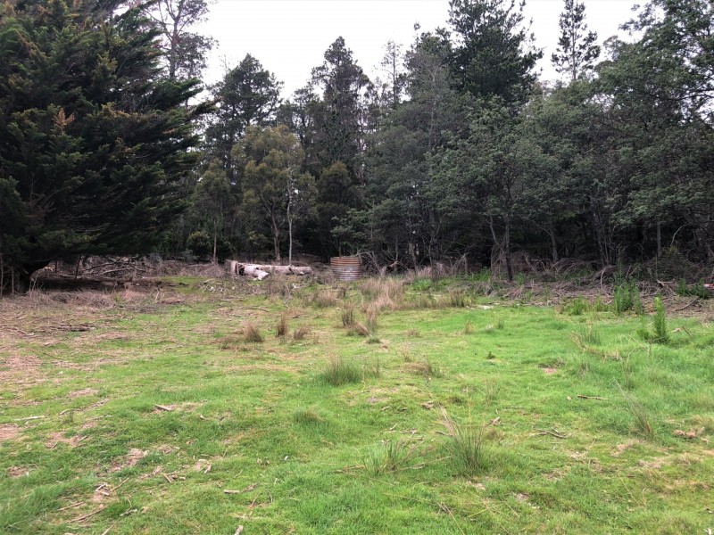 PID 641602 Mangana Street, Mathinna TAS 7214