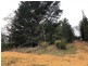 PID 641602 Mangana Street, Mathinna TAS 7214