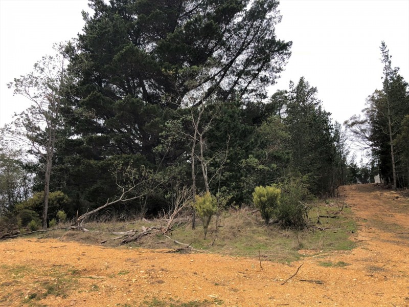PID 641602 Mangana Street, Mathinna TAS 7214