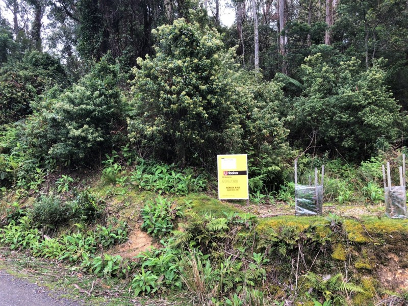 PID 325773 Lottah Road, Lottah TAS 7216