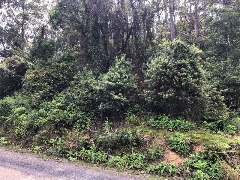 PID 325773 Lottah Road, Lottah TAS 7216