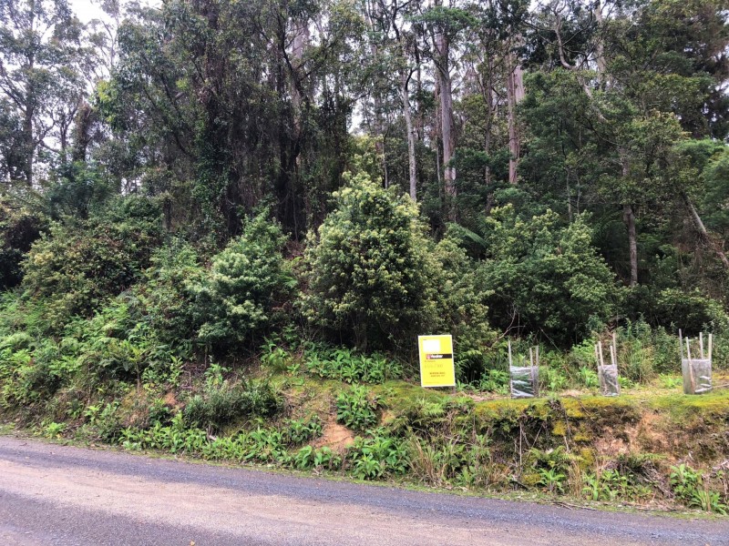 PID 325773 Lottah Road, Lottah TAS 7216