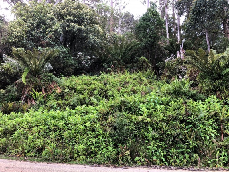 PID 325773 Lottah Road, Lottah TAS 7216