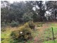 88 Main Street, St Marys TAS 7215