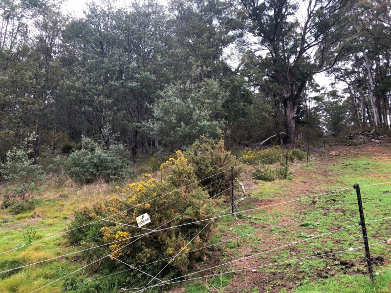 88 Main Street, St Marys TAS 7215