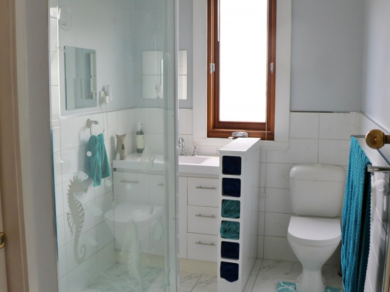 80 Cecilia Street, St Helens TAS 7216