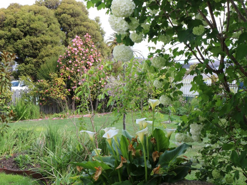 80 Cecilia Street, St Helens TAS 7216