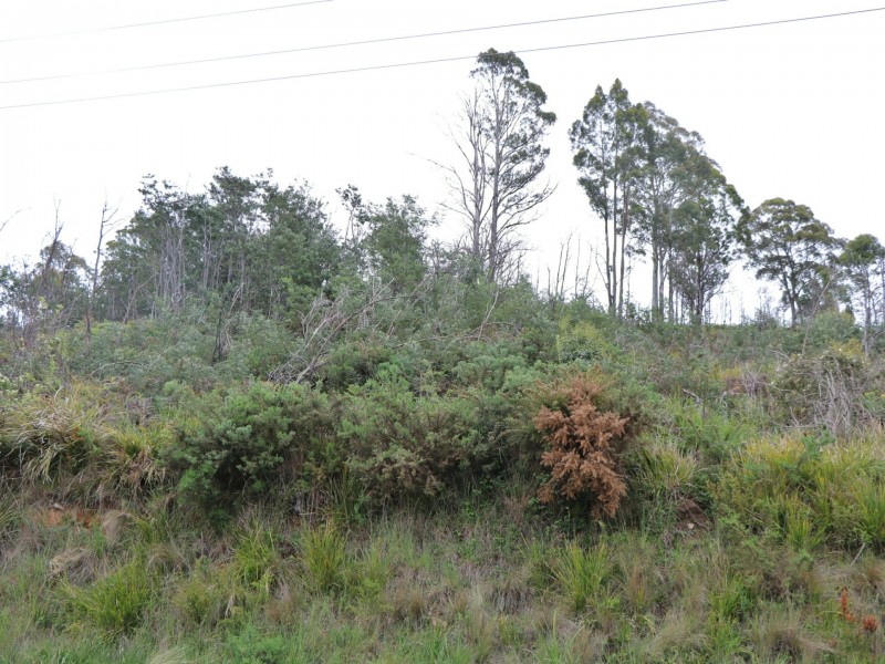 Lot 1 Esk Main Road, St Marys TAS 7215