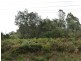Lot 1 Esk Main Road, St Marys TAS 7215