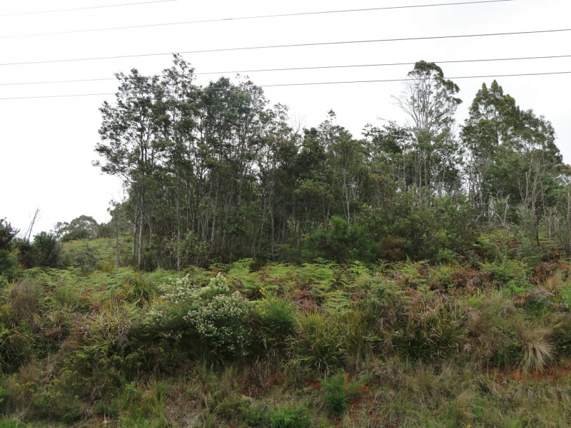Lot 1 Esk Main Road, St Marys TAS 7215